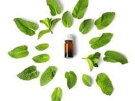 ودّعي الحشرات نهائيًا: أسرع طريقة لتنظيف البيت والتخلص من الهموش في يوم واحد